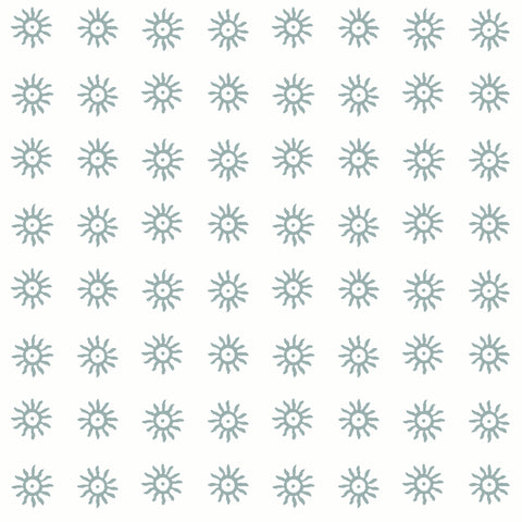 Here Comes the Sun Tern Gray Wallpaper